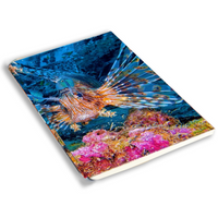 Sustainable A4 Saddle Stitch Soft Cover Notebook / A4SSSCNB