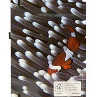 Sustainable A4 Hard Cover Notebook / A4HCNB