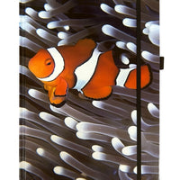 Sustainable A4 Hard Cover Notebook / A4HCNB