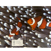 Sustainable A4 Hard Cover Notebook / A4HCNB