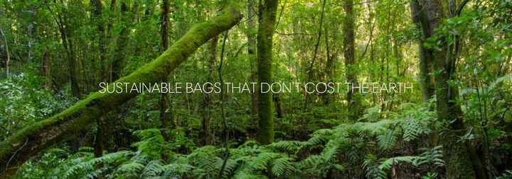 Sustainable Bag Collection