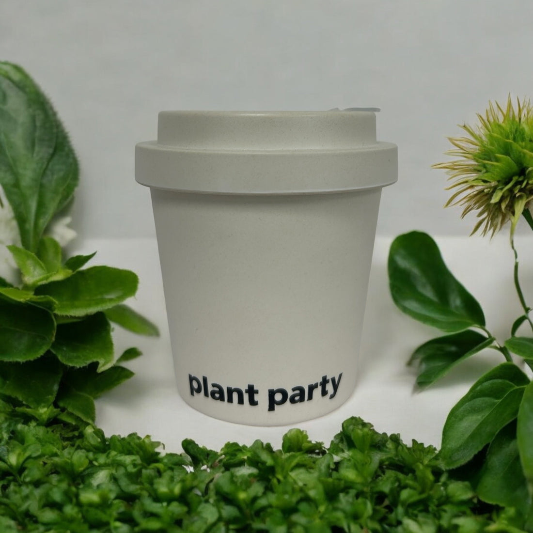 300ml Bamboo Coffee Cups (Hard Lid) / HT300